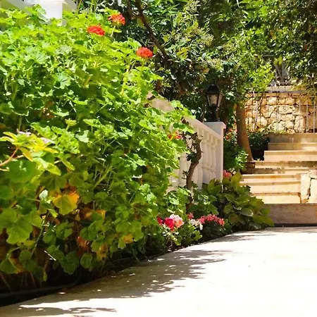 Rosa Kalkan * Kaş
